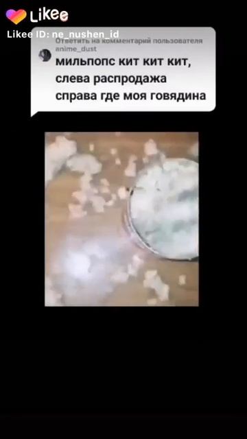 где мояговядина
