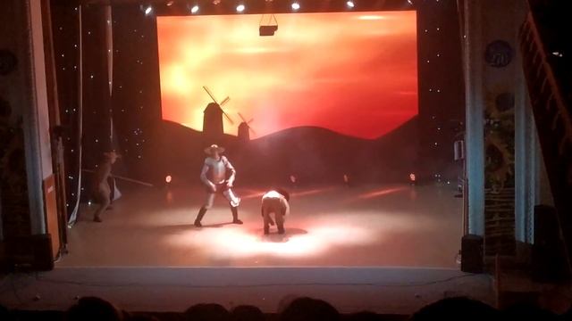 Шуточный танец "Ковбой"