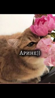 любимой Аринке))💗