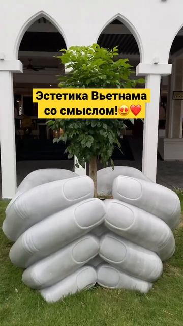 Эстетика Вьетнама со смыслом! Идея для клумбы 👍#идея #