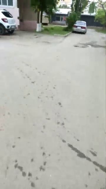 Наша погода перед праздником