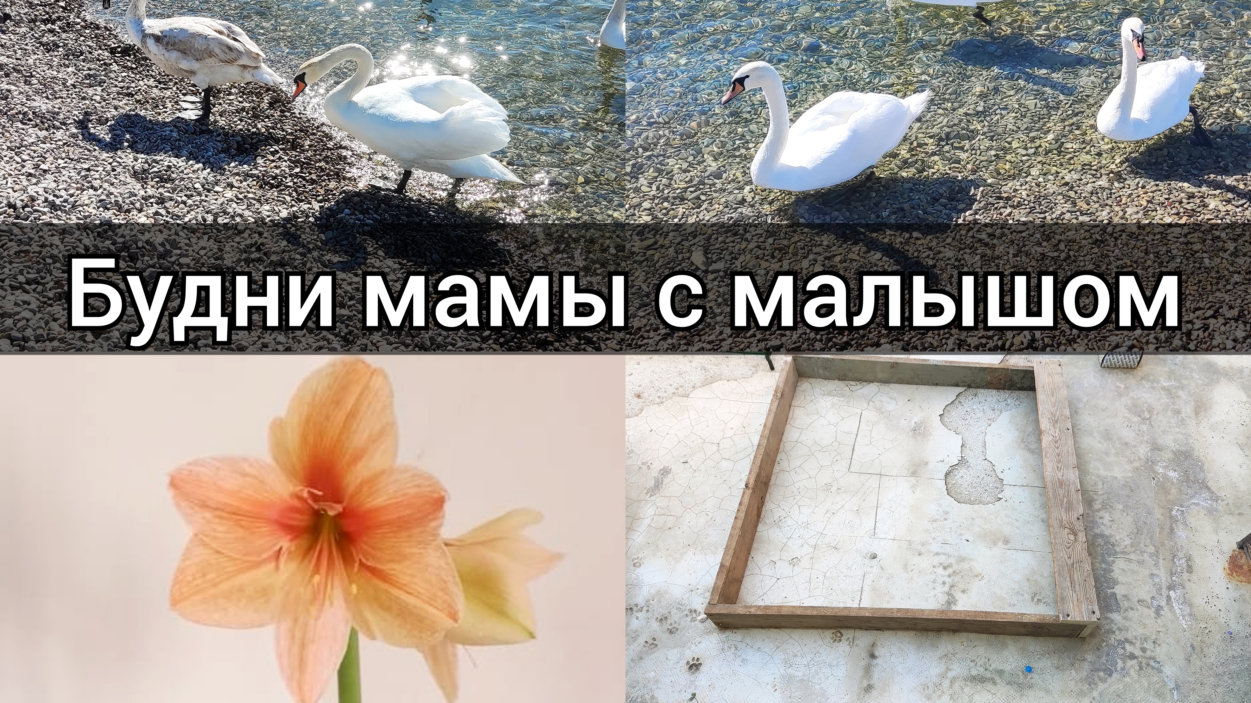 Наши дни