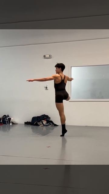 Клип @balletbeautifulart