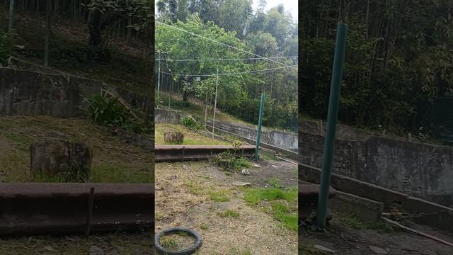 Услада для ушей и глаз.mp4
