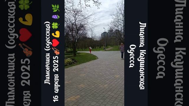 Лимончики. Одесская песня на скрипке
