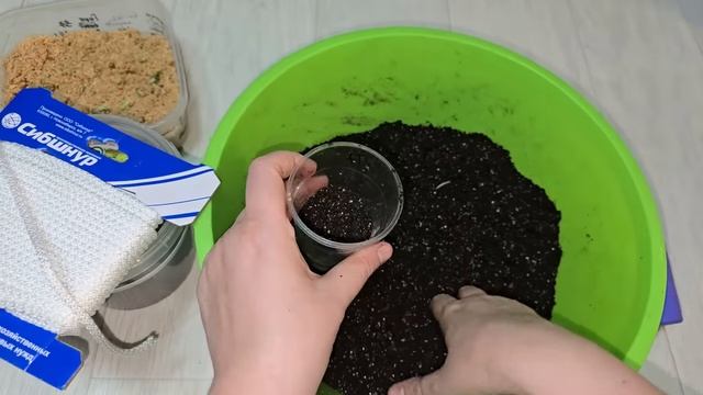 Бабушка научила так выращивать огурцы, теперь всегда море урожая