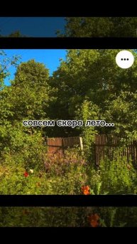 урооо, ждём лето✨✨