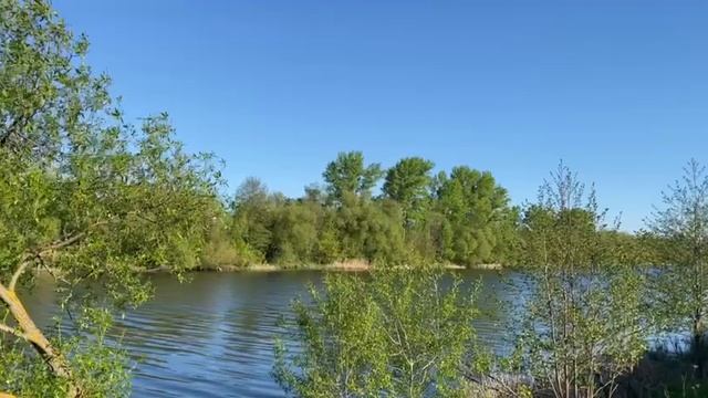 релакс