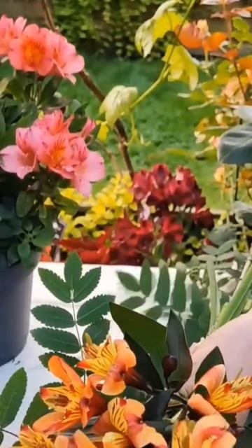 #Альстромерия #Indian #Summer . Собираем букет. (#alstroemeria #Luxembourg