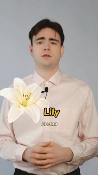 Какие дарить цветы 🌷