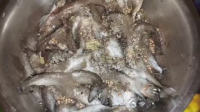 засаливаем Салаку