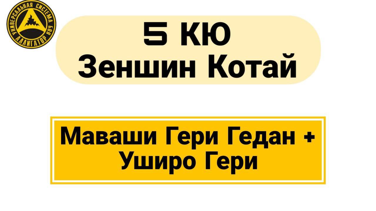 5 Кю Зеншин Котай: Маваши Гери Гедан + Уширо Гери