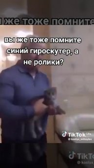 бедный кот