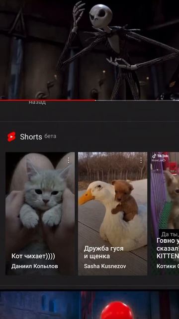Шито крыто и корыто мостят друг друга (кошмар перед Ро?