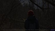 Каждый кадр под эту мелодию - праздник для глаз - Thinking Free -- Ketsa -- 5D