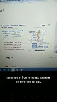 Входящее. Белки, жиры, углеводы.