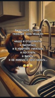 😂Доброе утро!