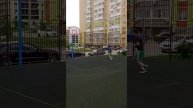 petal_20250508_122344.mp4