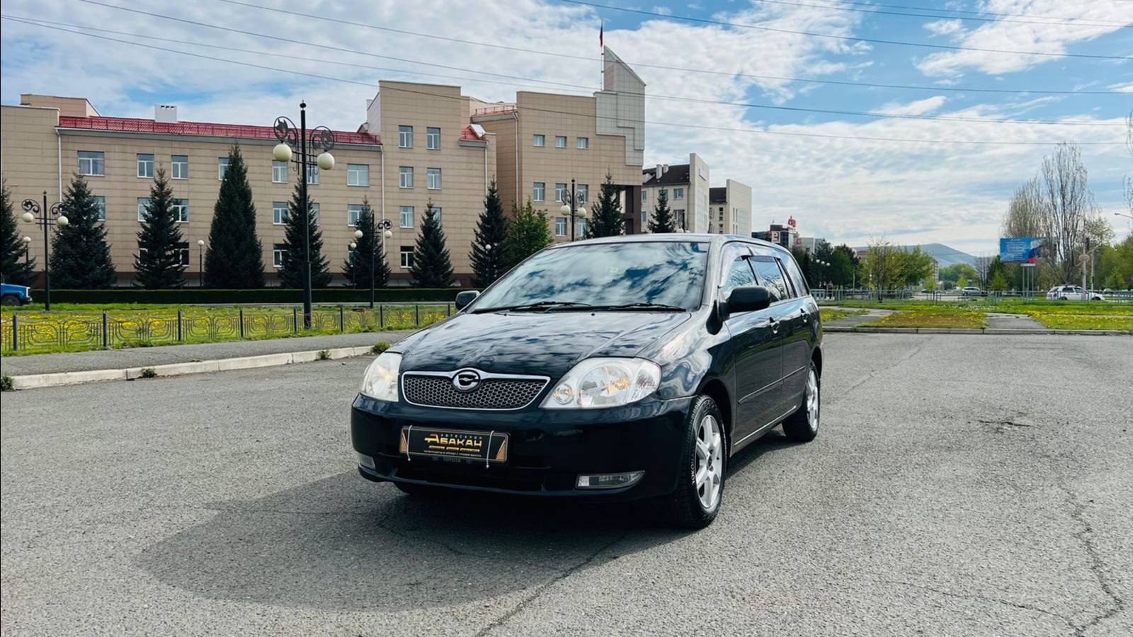 Toyota Corolla Fielder, 2002 год