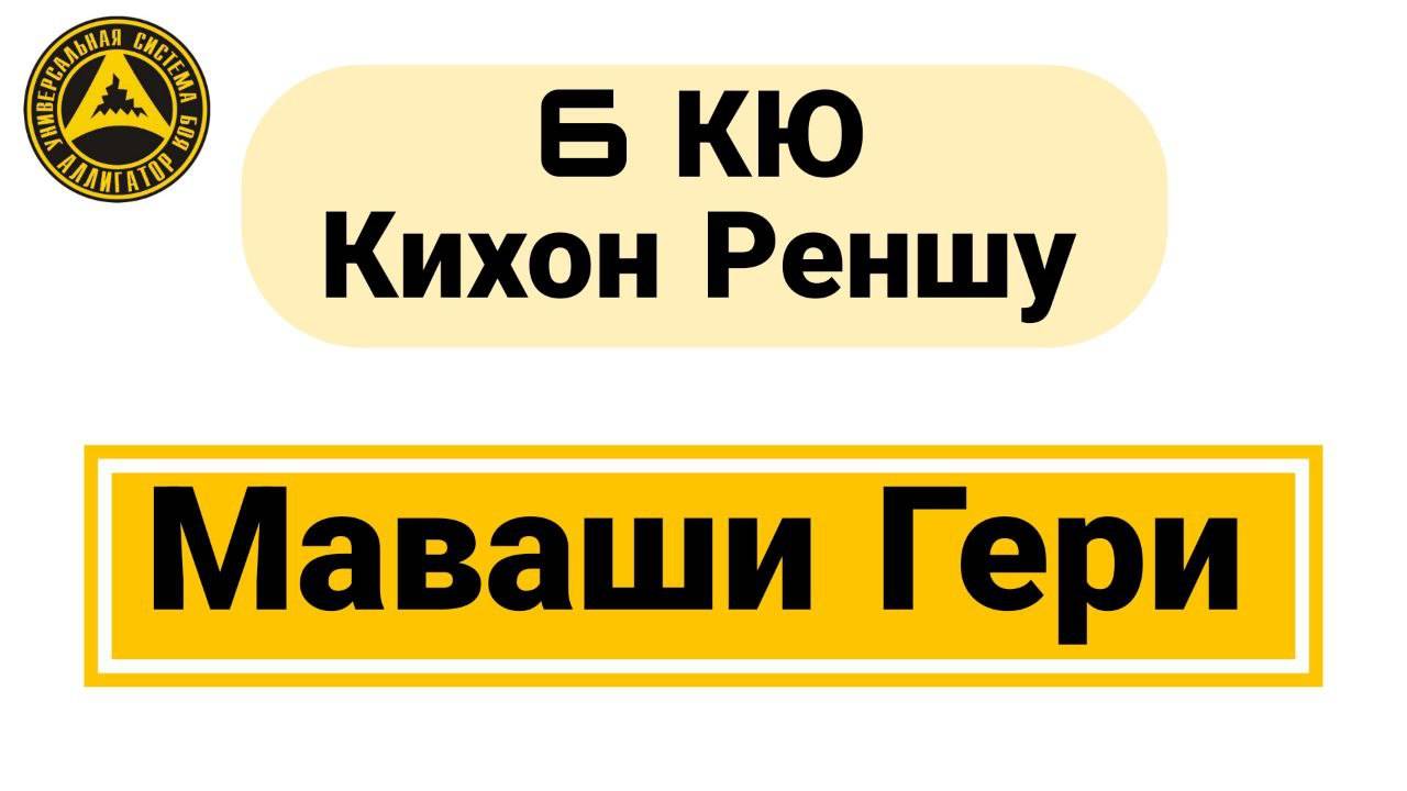 6 Кю Кихон Реншу: Маваши Гери