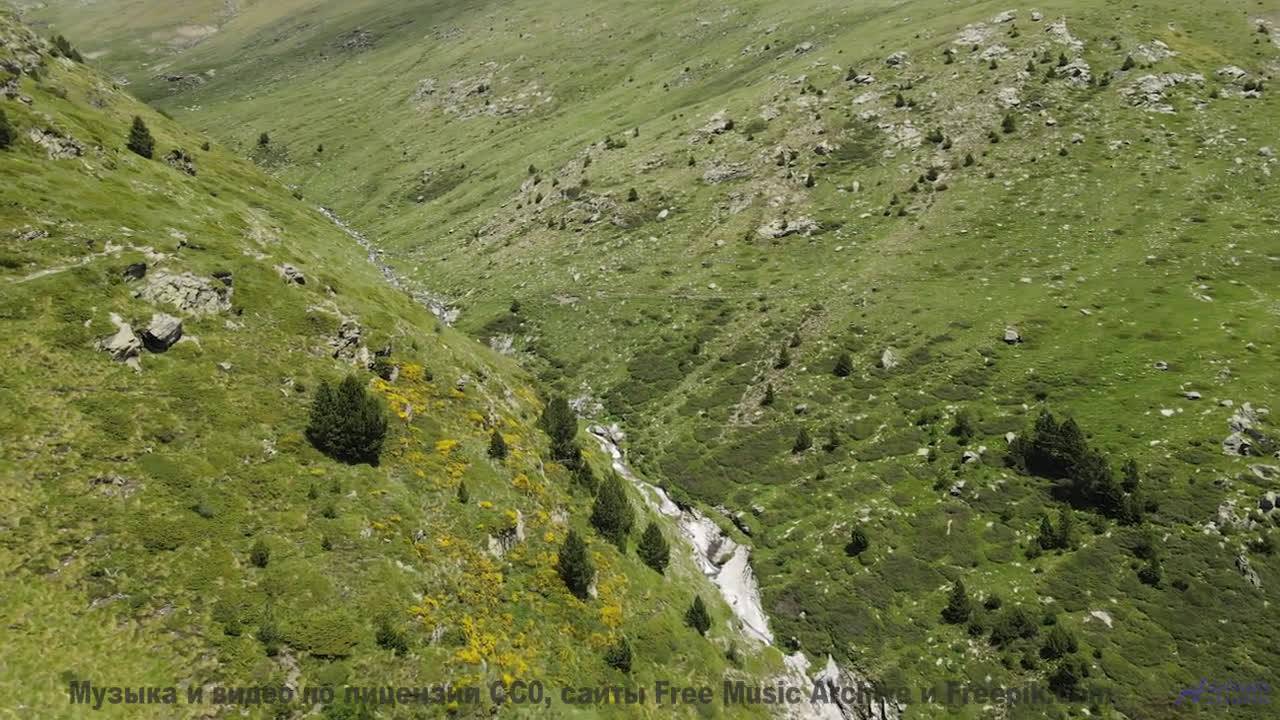 Природа оживает, стоит лишь дать музыке разлиться - Lets Skip To The Good Bit -- Duncan Reid and the