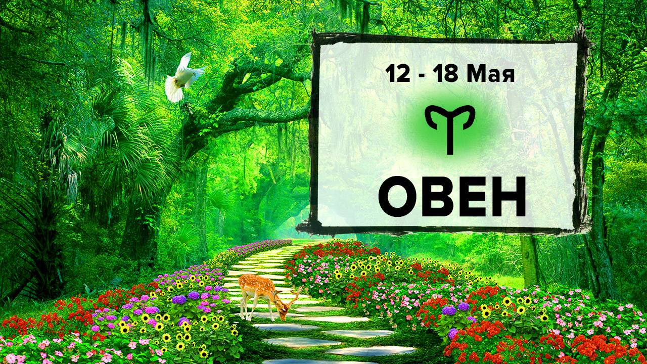 ОВЕН ♈ 12 - 18 Мая 2025 | Расклад таро на неделю для знака Зодиака Овен