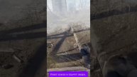 Ревет земля и плачут люди