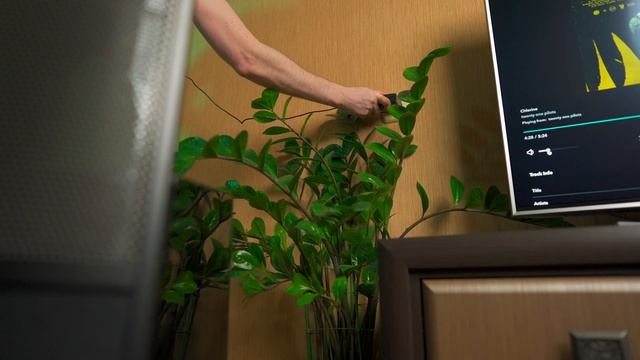 Обзор АКУСТИКИ Martin Logan ElectroMotion ESL X