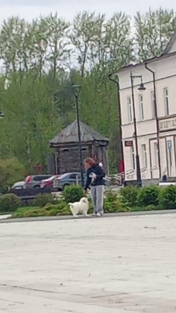 VID_20250508_155804