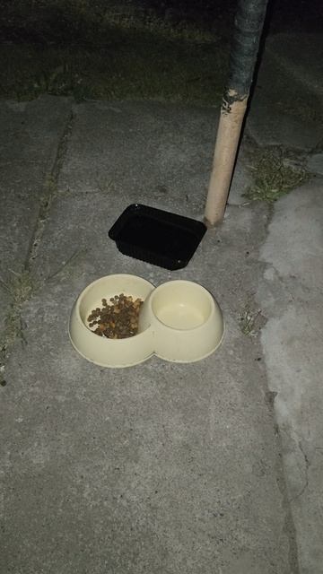 Гансик, ты где?