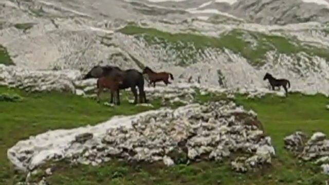 Абхазия 2008 год 1_x264