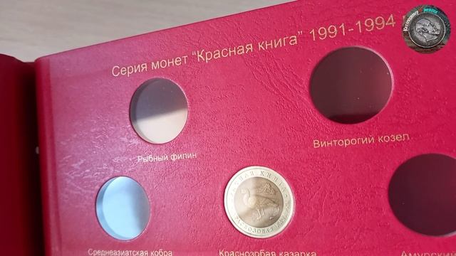 Новые монеты для альбома