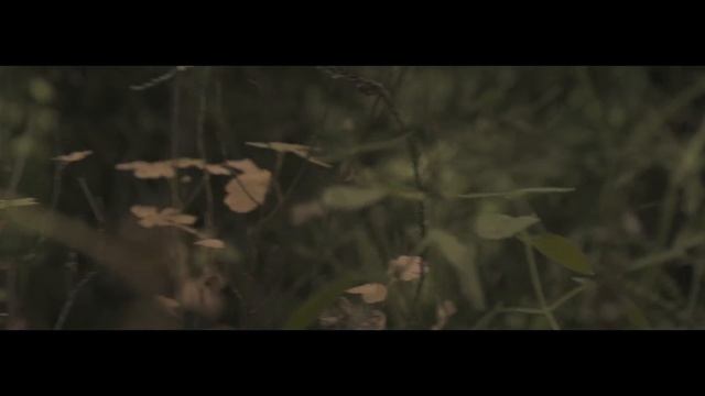 JVNA — Where You Are