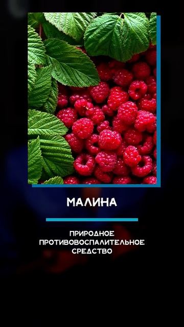 Топ-5 ягод для железного иммунитета