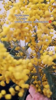 8 МАРТА! ПОЗДРАВЛЕНИЕ НА ПРАЗДНИК 💐 #весна #8марта #цве?