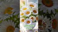 Доброе утро 💖Чудесных Вам выходных 🌝💝