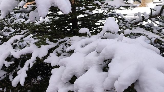 Прощальный подарок зимы