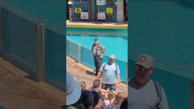 Tom the Mime Fun #18!   SeaWorld Orlando   #tomthemime #seaworldmime #funnyshorts