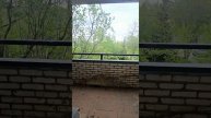 20250505_183405