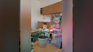 Уход за комнатными растениями