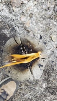 Финская свеча #bushcraft #survival #forest #camping #wood