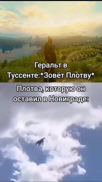 Ведьмак 3 и Плотва #приколы #ведьмак3 #плотва #геральт #игровыемемы #юмор #игровыеприколы #witcher