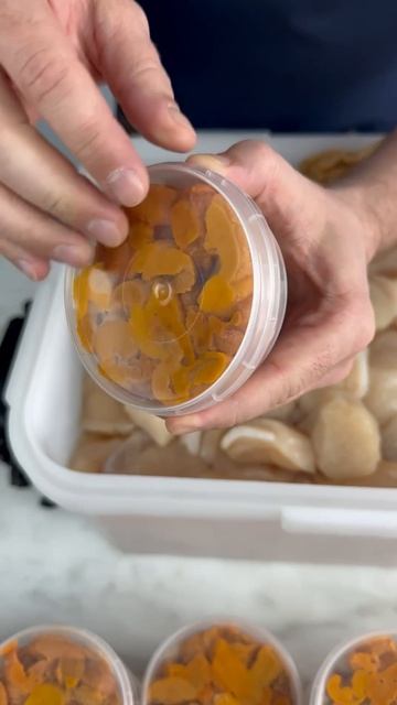 🔝ИКРА МОРСКОГО ЕЖА И ГИГАНТСКИЕ ПАРНЫЕ ГРЕБЕШКИ! 🦪
