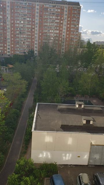Снег в мае 🌳🌨