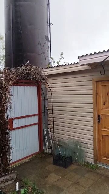 Второй залп дождя ☔