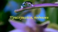 Разноцветный мир