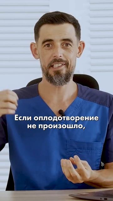 Этично ли есть яйца? 🤔 #здоровыйобразжизни #доктормас
