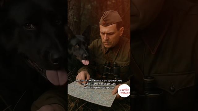 с Днём Победы!