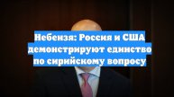 Небензя: Россия и США демонстрируют единство по сирийскому вопросу
