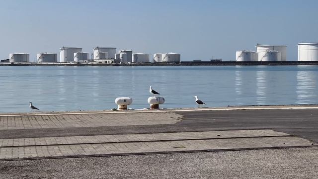 Nordsee #nordsee #nordeuropa #reise #urlaub #port #hafen #ship #see